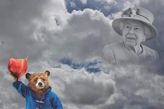 Paddington wishing goodbye to our queen. She's with you now mom. X 