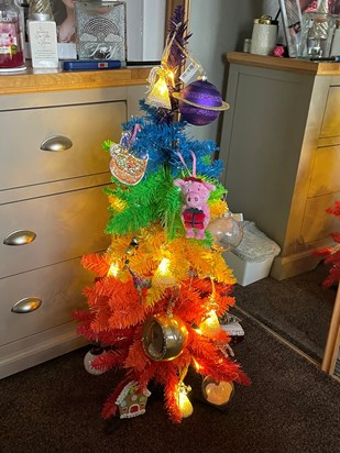 I thought I’d add a picture of your n bedroom baby. I know absolutely loved this and pr would’ve liked to keep itmost of the year if possi 🤣🤣. Whhave done ra 🌈 trees for Christmas Fa every day  baby. Mummy &Daddy xxxxxx💜🌈🐝