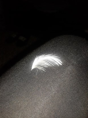Feather What Appeared At My Feet, If this was from you mate Thank you xxx