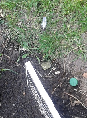 Beautiful Feather Appeared While I Was Here! Thanks Mate For Another Feather :) xx