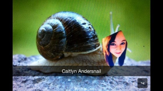 When you persisted that I had a snail fetish and proceeded to send me dozens of edits on snapchat:')