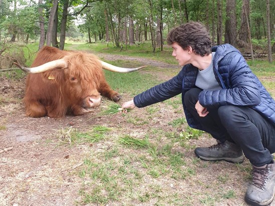 Dominic with Highland cow