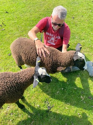 David meets his flock of Zwartbles ❤️