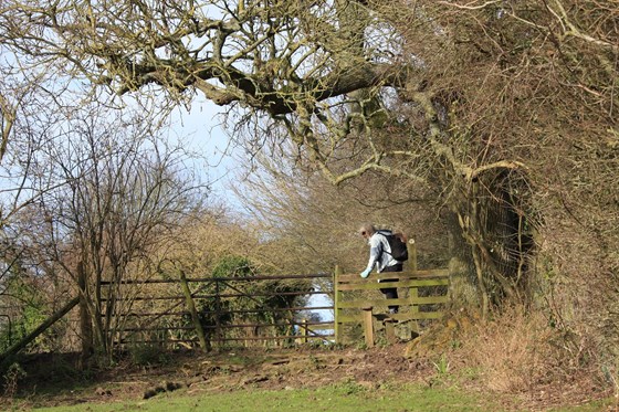 She loved walking in the country side