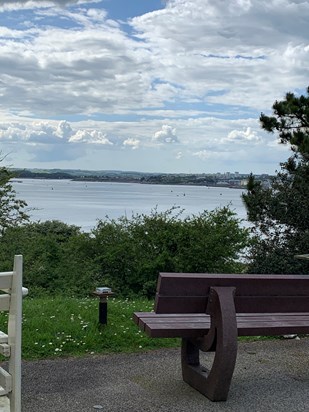 Martin’s view in the St Luke’s garden