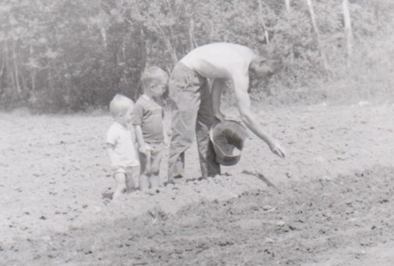 Dennis & Gary with Dad, planting potatoes