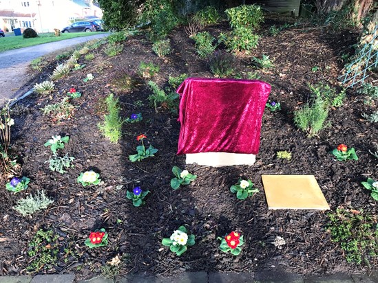 The Stone waiting to be Unveiled 