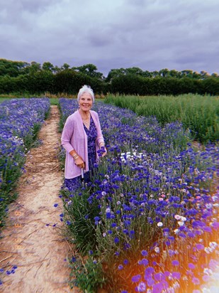 mum flowers