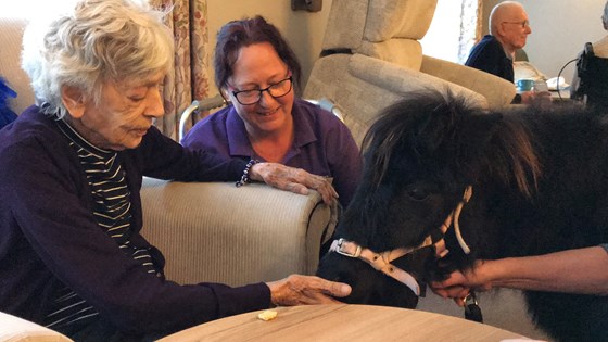Gill with visiting pony at Highmarket House winter 2020