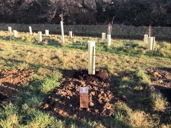 Mum's tree planting and plaque day 12.12.2020 3
