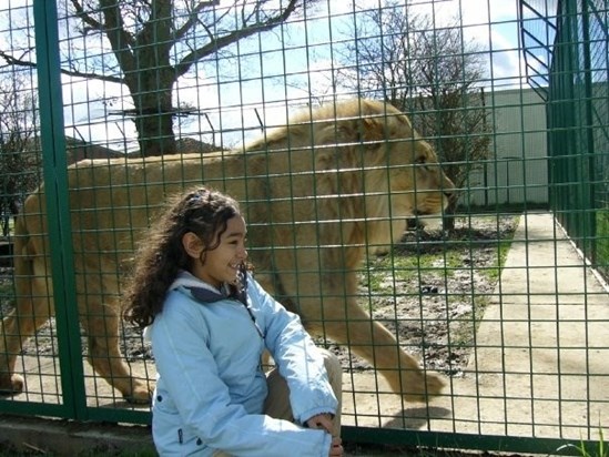 Né and the lion