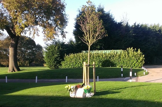 Gilly's Tree, thank you to everyone at Surbiton Golf Club that helped create this lovely tribute.