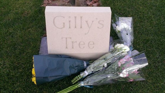 Gilly's Tree - Thank you all so much