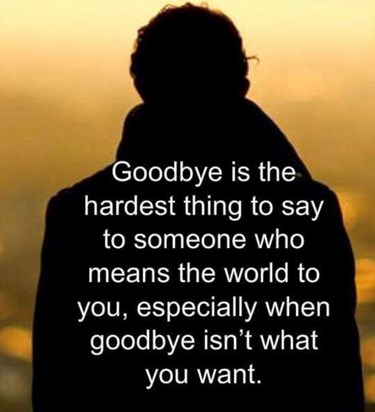 I couldn’t say Goodbye. ??