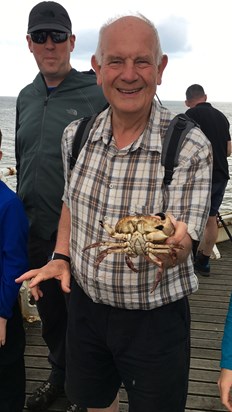 Cromer crab in safe hands