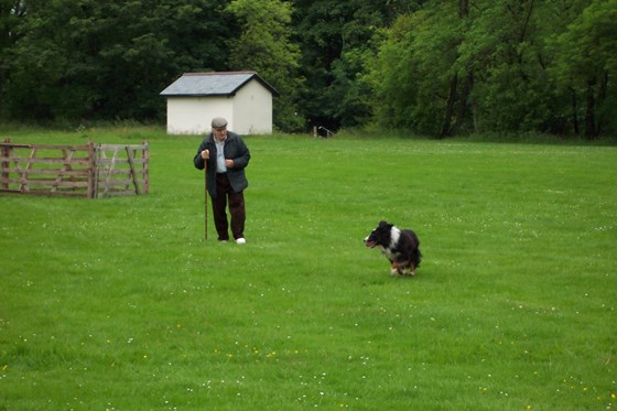 2007 Sheepdog trails in the Lake District