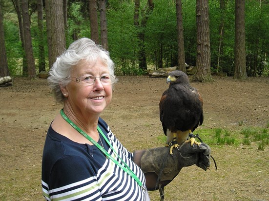 Cheshire Falconry - lovely day
