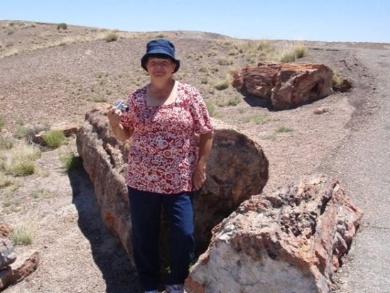 mom at the Petrified forest