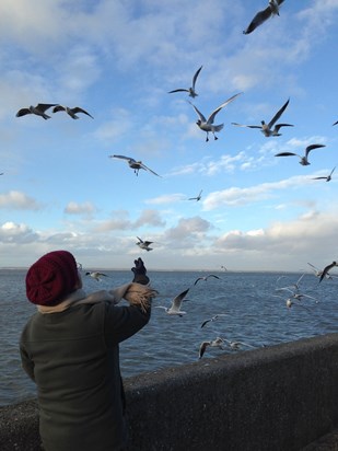 Feeding the gulls