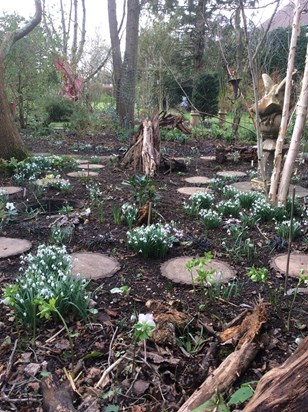 Memorial Winter Garden at 215 - February 2022