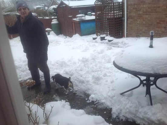 One man & his dog clearing snow