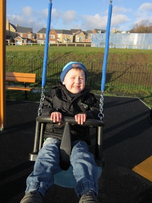 Enjoying the swings (Woolley Grange) - March 2012