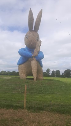Ime sure you can see peter rabbit! Knew you would love it, thought of you when we went to see it at the ice cream farm xxx
