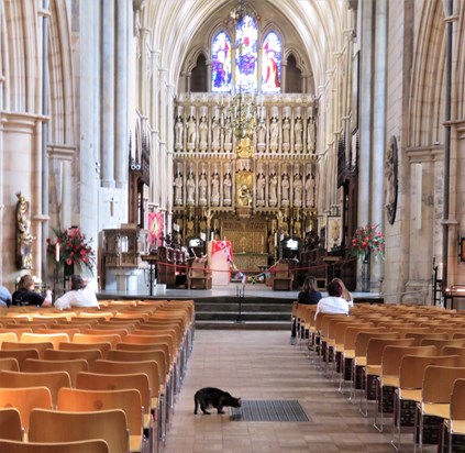 Doorkins Magnificat in a beautiful Cathedral. Glad I visited Southwark Cathedral that day.