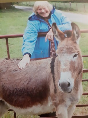 Meredith loved donkeys