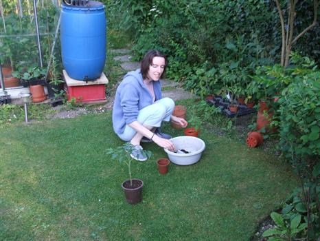 Sarah gardening.