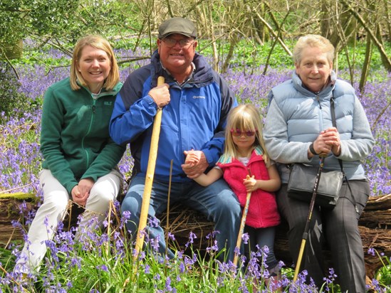 Bluebell hunting