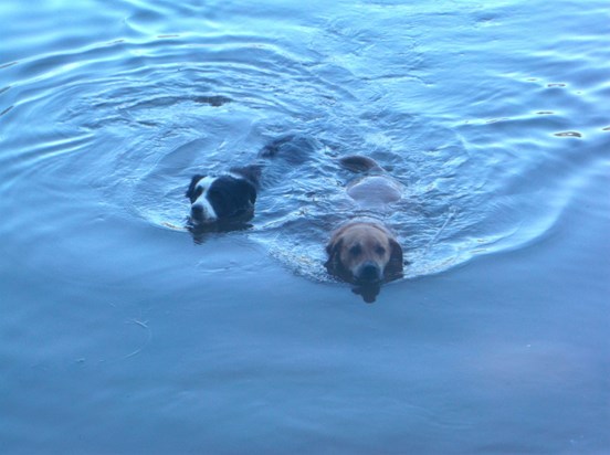 swimming with Simon