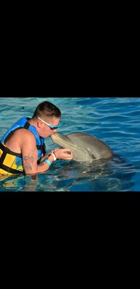 Swimming with dolphins in Dominican
