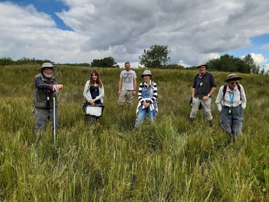 Socially distanced meeting of a small party from Norfolk Flora Group: Badley Moor SSSI, Norfolk.  July 2020.
