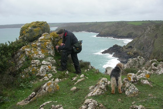 Peter on the cliffs at Kennack to Coverack SSSI.  John Douglass.