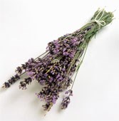 your favourite lavender