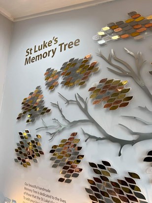 The beautiful St Lukes Memory Tree @ Turn Chapel Plymouth.