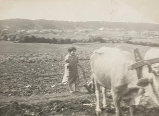 Mama ploughing the fields in her home town