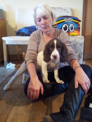 Collecting Grouse from spaniel rescue. Nov 2012