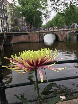 Fathers Day flowers in Amsterdam at the canal 2018