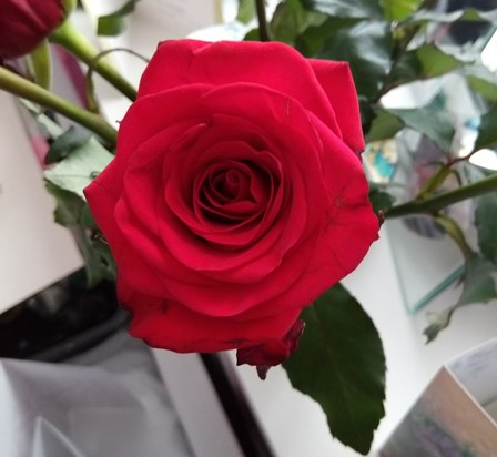 A Rose for Mum with love xx