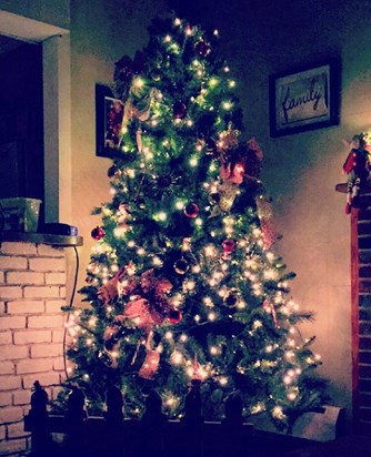 The Nunez’s Family Christmas tree 