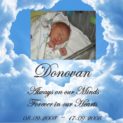 Donovan 7th anniversary