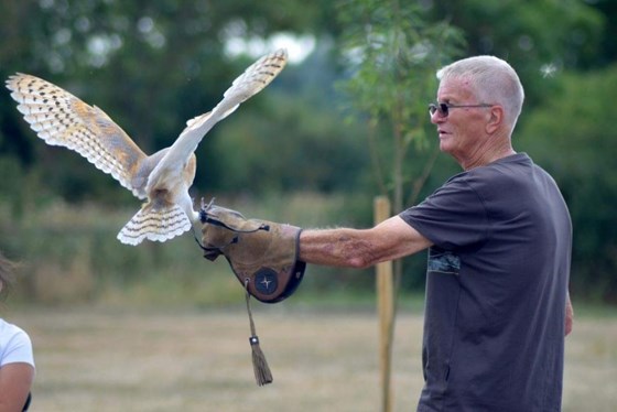 Afternoon tea with the owls, a Father's Day gift