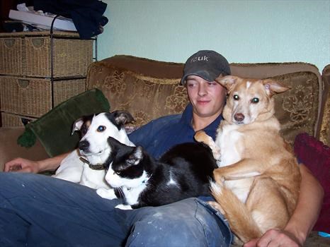 2 weeks before he died with his dog Gizzmo (blonde one) who died17-4-2007 missing him. 