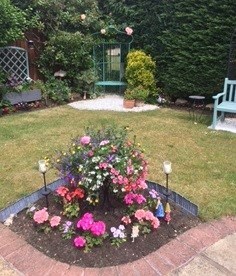 Mum's lovely garden 