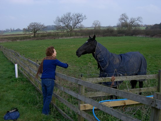 The Horse Whisperer