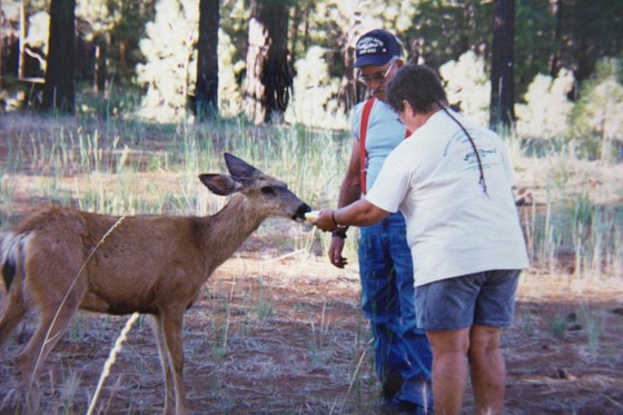 Dad and "Betts" feeding a doe (PLEASE DON'T DO THIS A HOME)