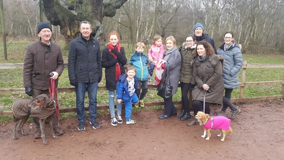 Sherwood Forest - Major Oak