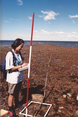 Karyn doing her degree research project on mussel bed communities in Australia in 1998
